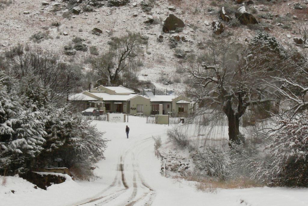 Aspen Guest House Кларенс Экстерьер фото