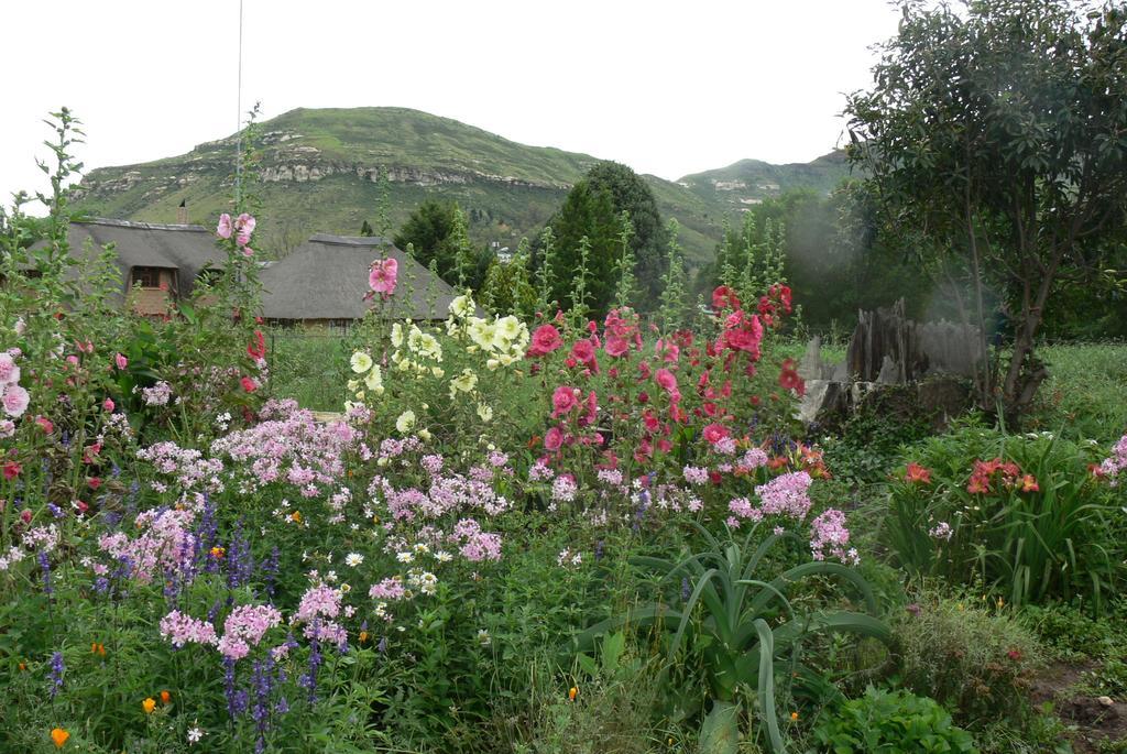Aspen Guest House Кларенс Экстерьер фото